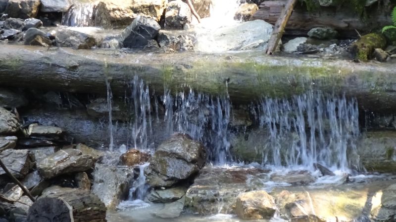 Hohe Kugel_250819_046